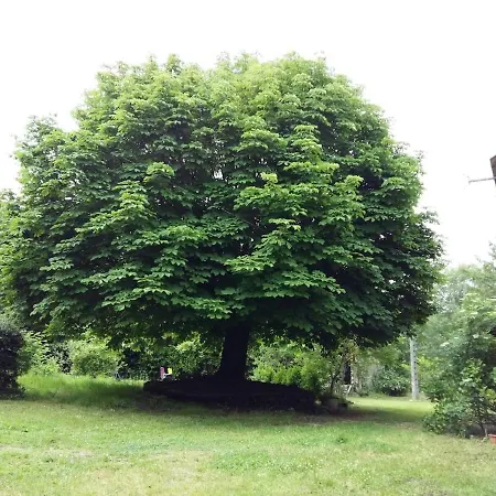 Prázdninový dům Les Penates En Segala