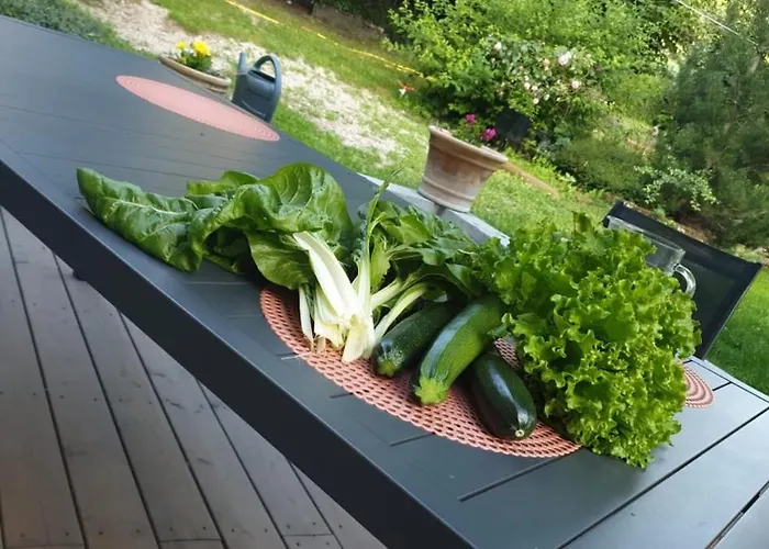 Les Penates En Segala Casa de Férias