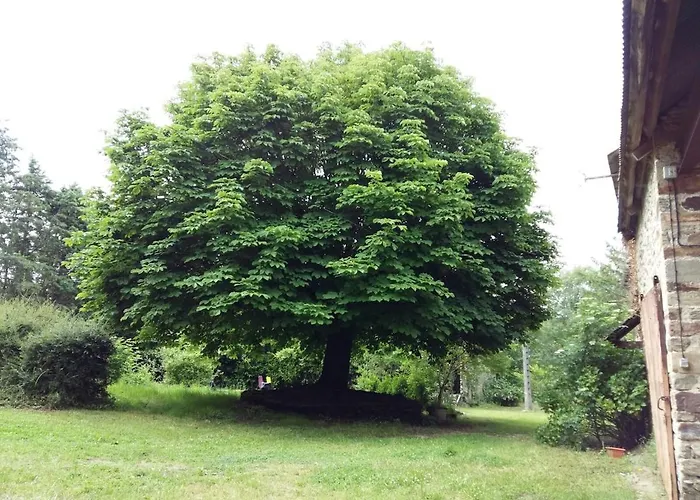 Prázdninový dům Les Penates En Segala