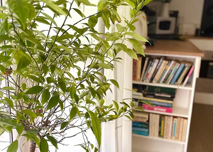 Les Penates En Segala Casa de Férias Quins